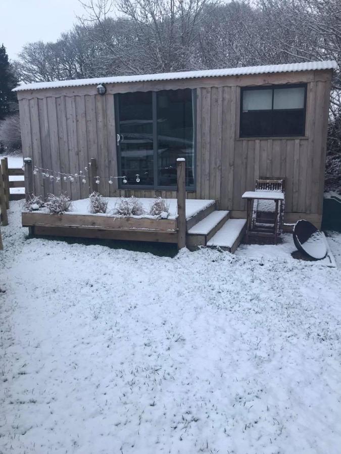 Cefn Crib Cabins Махинллет Экстерьер фото